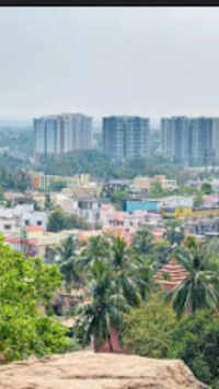 <i class="tbold">Odisha</i>