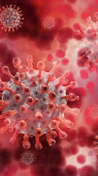 <i class="tbold">swine flu</i>