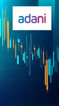 4. <i class="tbold">adani group</i>