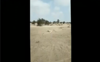 Fresh incursion across border, Pak UAV shot down in Rajasthan’s Bikaner