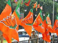 Lok Sabha polls 2019: BJP to release manifesto for 2019 Lok Sabha polls today