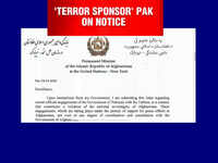Pulwama terror attack: Global pressure mounts on Pak, Afghanistan complains to UN Security Council