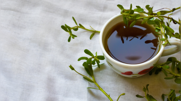 What are the benefits of drinking Brahmi tea?