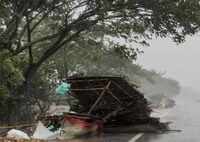Cyclone Fani causes damage to infrastructure, uprooted trees in India’s east coast