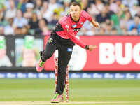 South Africa's Johan Botha retires from cricket
