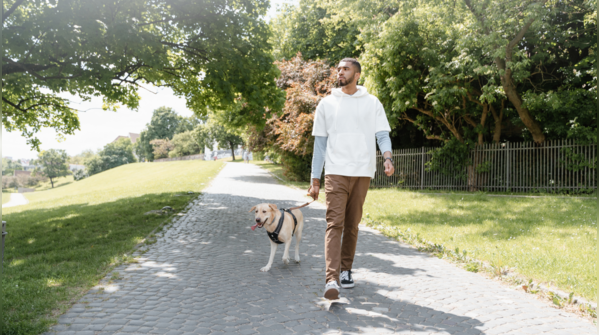 The right time to walk for better results