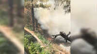 Massive wildfires in Uttarakhand; Almora, Nainital worst hit