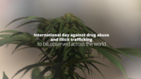 ‘Health for justice, justice for health’: International day against drug abuse and illicit trafficking