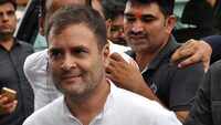Lok Sabha: Rahul Gandhi raises slogans over Karnataka issue