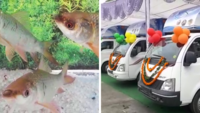 Uttarakhand: Govt distributes 5 fish outlet vans on National Fish Farmers day