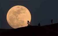 Super Blood Wolf Moon: Watch the Last Total Lunar Eclipse of 2019