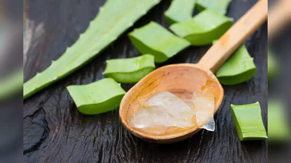 Aloe Vera and Camphor are great for hair growth