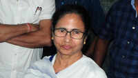 We want peaceful solution: Mamata Banerjee on Jammu and Kashmir