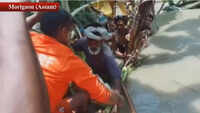 Watch: NDRF teams rescue locals in flood-affected Assam’s Morigaon