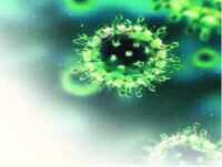 Madhya Pradesh: Unknown virus claims 64 lives in four months