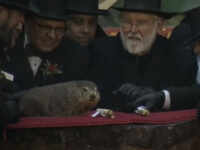 US: Punxsutawney Phil predicts early spring