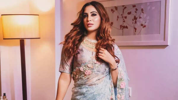 Bhojpuri Celebs Who Went Naked For Camera