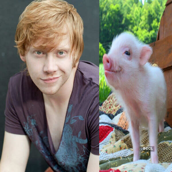 Rupert Grint Photos