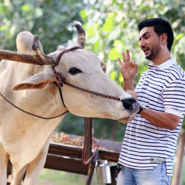 Preet Harpal Stills