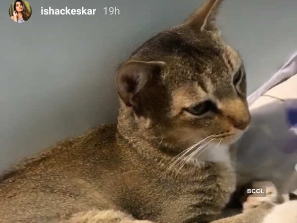 Isha Keskar