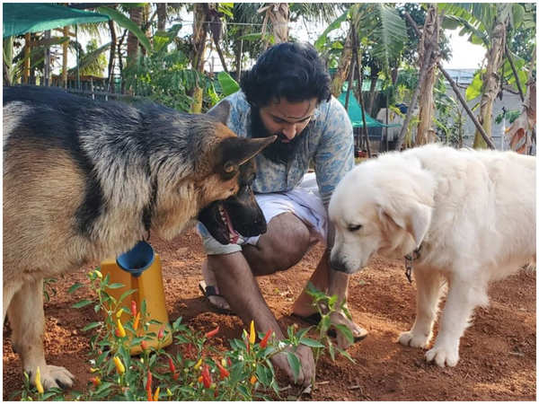 Unni Mukundan