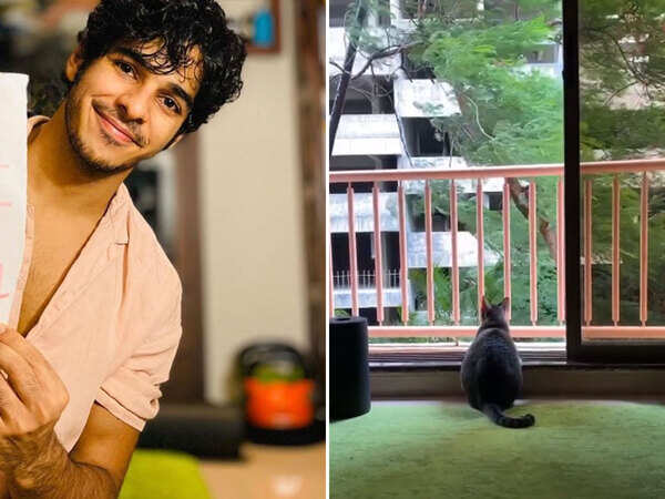 Ishaan Khatter Wallpapers