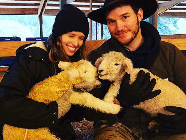 Chris Pratt Stills