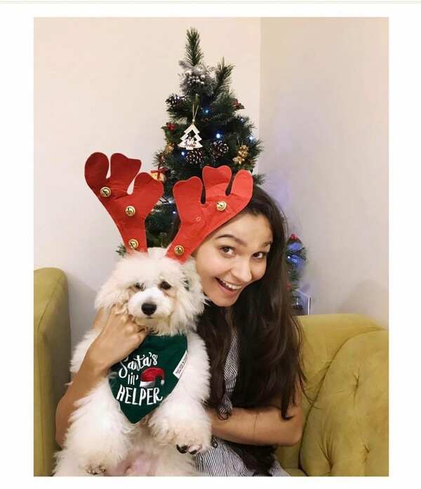 Andrea Jeremiah