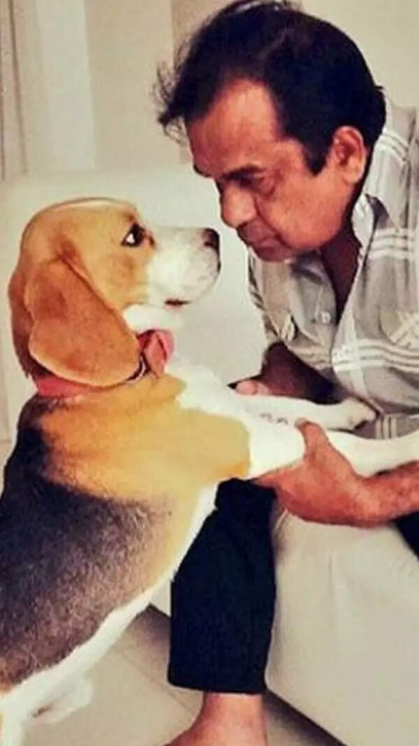 Brahmanandam Stills