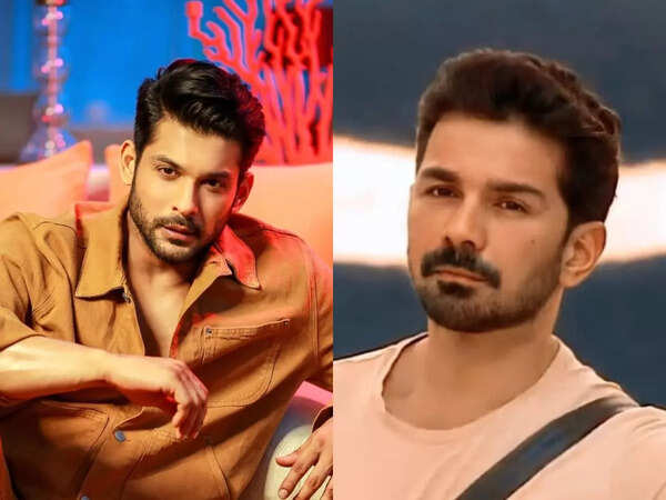 Abhinav Shukla Pictures