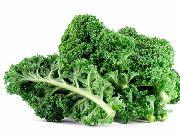 Kalees Images