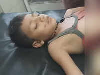 Boy survives after being impaled by tree branch