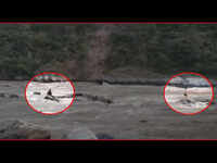 Watch: Man rescued from Chenab river