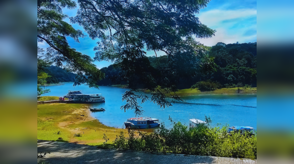 Wildlife by water: The best river and boat safaris in India