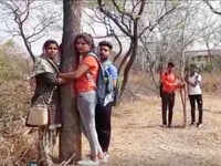 Bhopal: MVM college students begin 'chipko' movement to save trees on campus