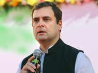 Priyanka Gandhi is very capable, says Rahul Gandhi 