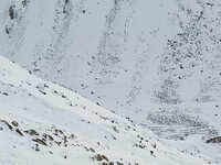 J&K government orders creation of separate division for Ladakh