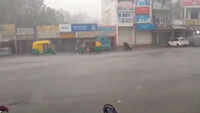 Indore: Rain lashes parts of city, brings respite from scorching heat
