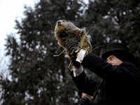 Pennsylvania: Groundhog predicts an early spring