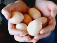 An egg a day might reduce risk of heart disease: Study