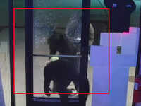 On cam: Clumsy burglars steal bottles of alcohol from Texas liquor store