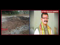 Lok Sabha polls: BJP MLA Bheema Mandavi killed in Maoist attack in Dantewada