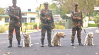 Army Dog Unit Centre trains dogs for security forces in Jammu