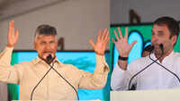 TDP chief Chandrababu Naidu meets Rahul Gandhi, Sharad Pawar