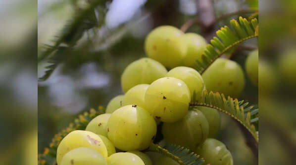 Lesser-known benefits of drinking amla juice in summers