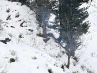 Jammu & Kashmir: Doda receives fresh spell of snowfall 