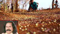 ST Commission calls meet over fate of 5,000 families displaced due to Naxal violence