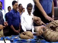 Thane: 2 arrested with pangolin worth Rs 40 lakh