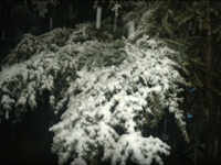 Watch: J&K’s Doda receives fresh spell of snowfall