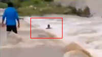 On cam: Biker washed away in MP's Ujjain